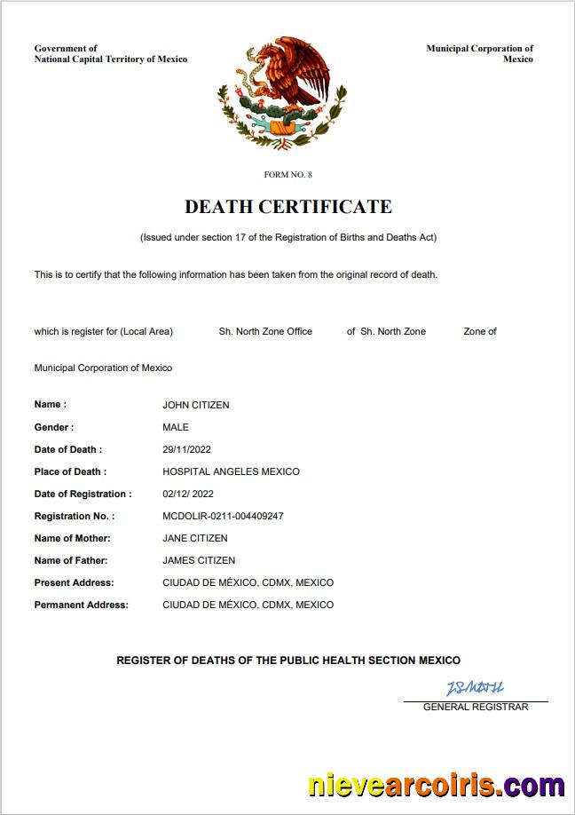 Mexico vital record death certificate